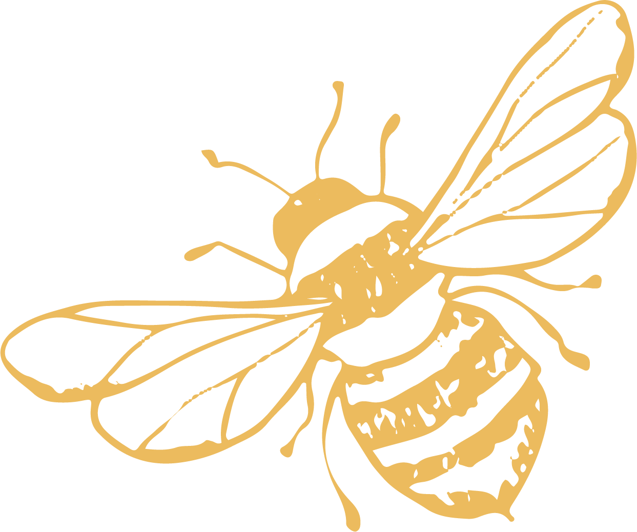 Honey bee light gold